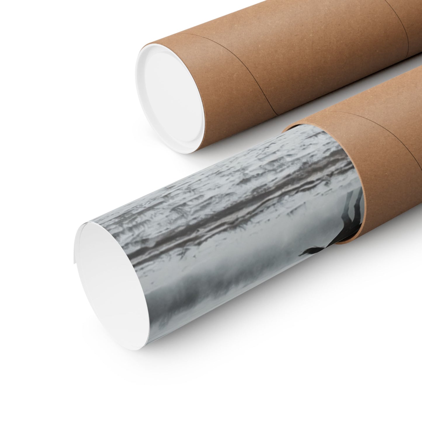 LAND OF THE FREE POSTER